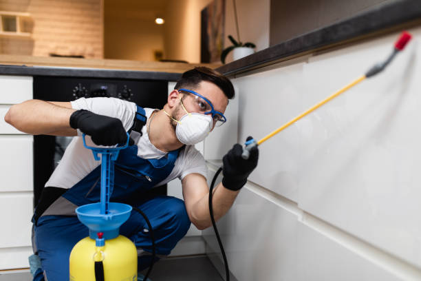 Pest Prevention Services in Mangum, OK