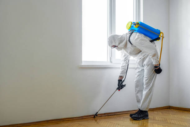 Trusted Mangum, OK Pest Control Experts