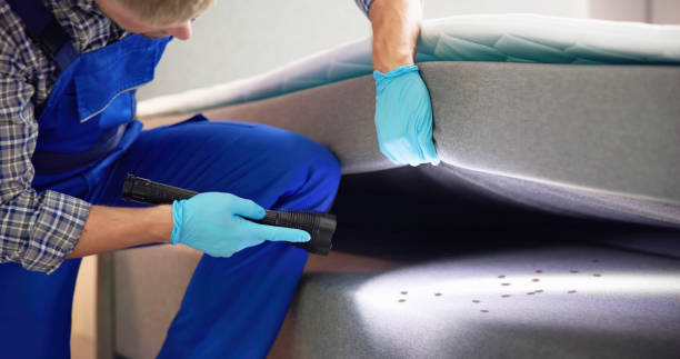 Best Pest Inspection Near Me  in Mangum, OK