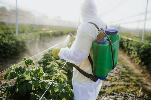 Best Flea Control Services  in Mangum, OK